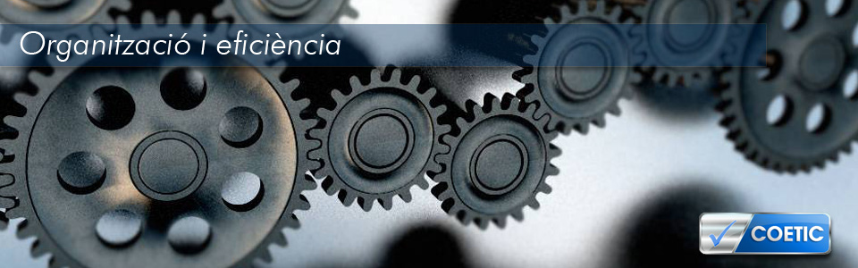 Organització i eficiència